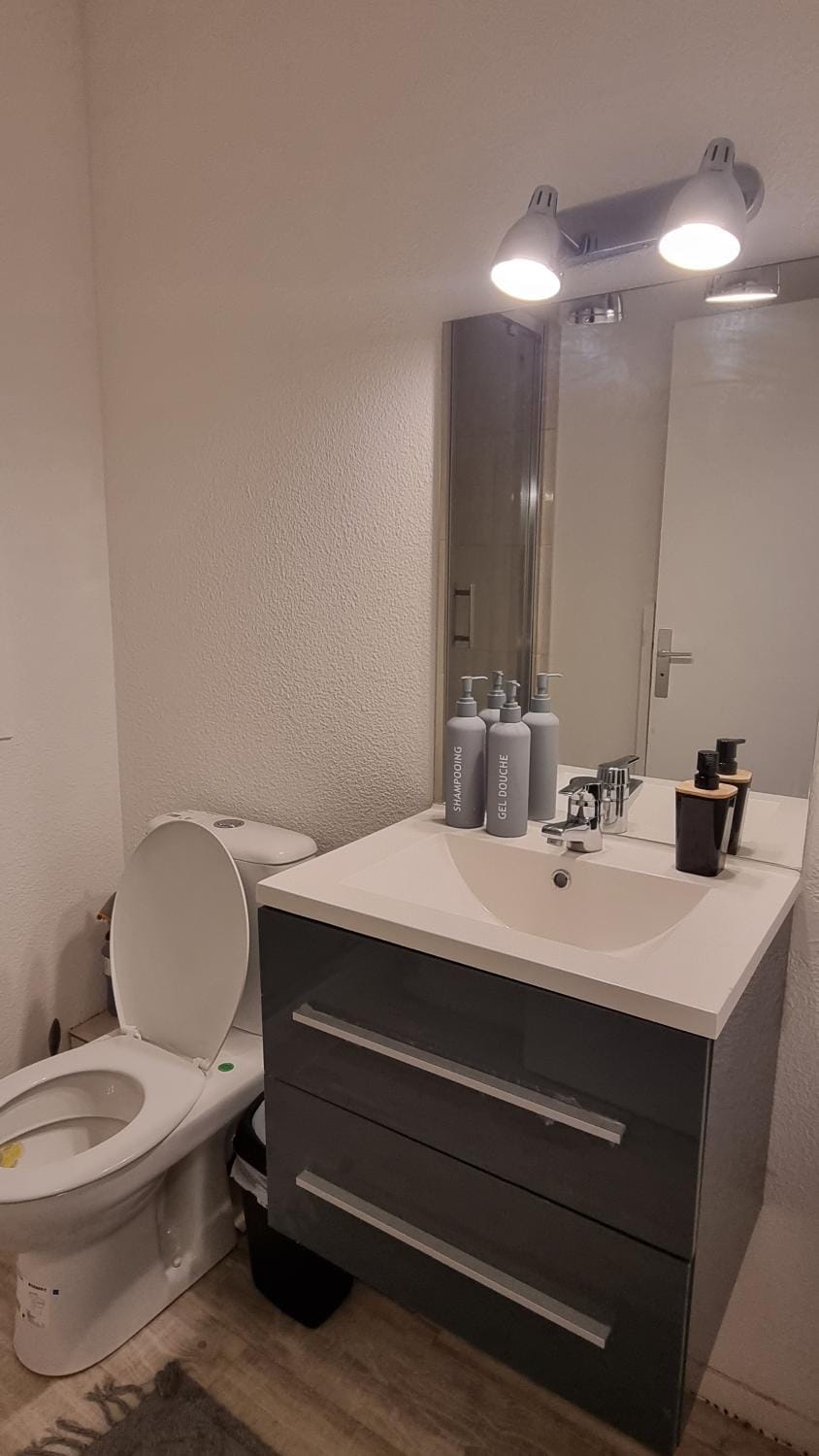 Nid Paisible bord du Lac entre Disney et Paris Apartment in Torcy