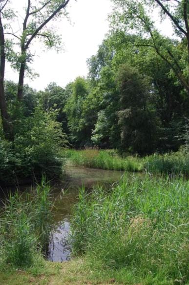 Apartement with terras in Amsterdam Noord Apartment in Amsterdam