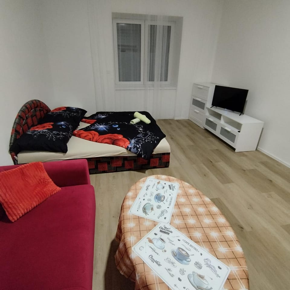 Angel Apartment in Brno