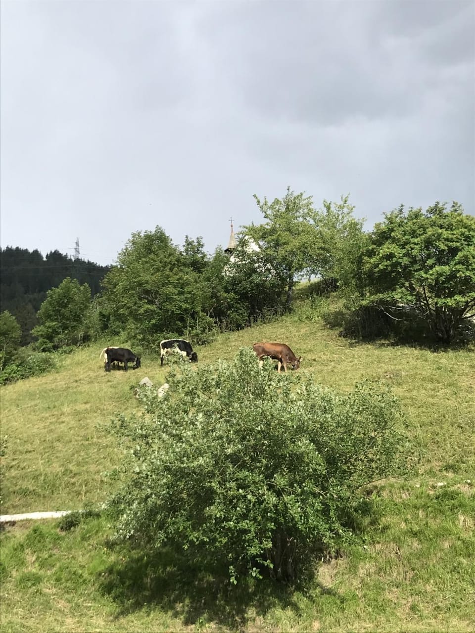 Apartmant Mary Apartment in Canton of Valais