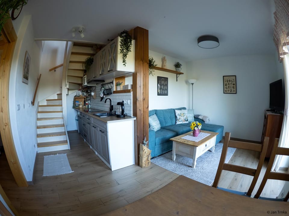 TV and multimedia, Kitchen or kitchenette, Living room, Seating area, Dining area, minibar, stove