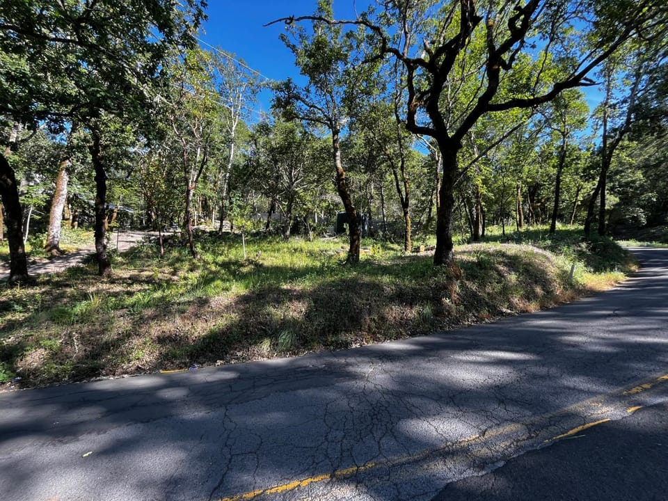 Neighbourhood, Natural landscape, Street view