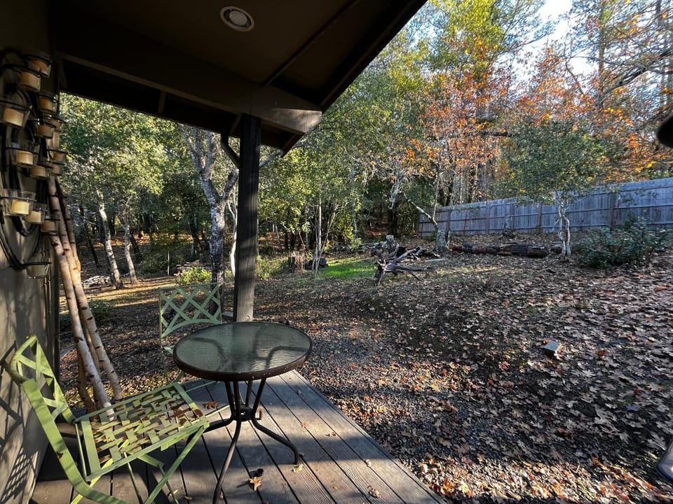 Patio, Day, Garden view