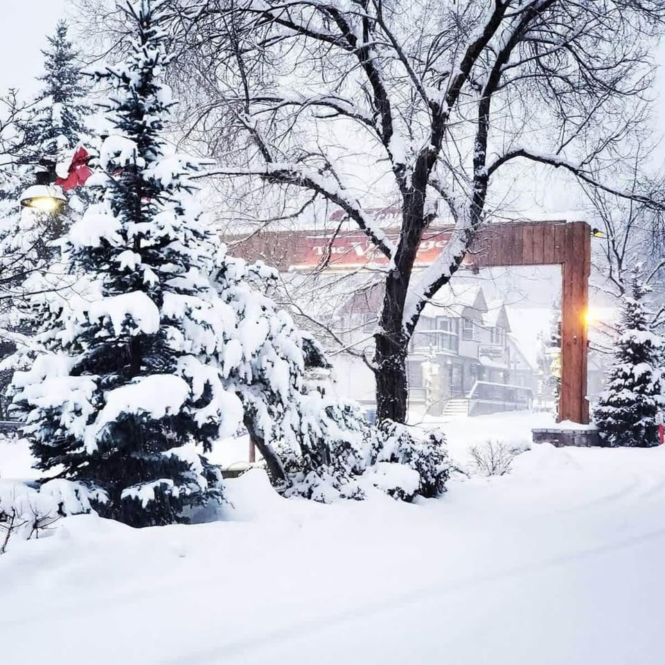NEW- Red Robin W hot tub House in Big Bear