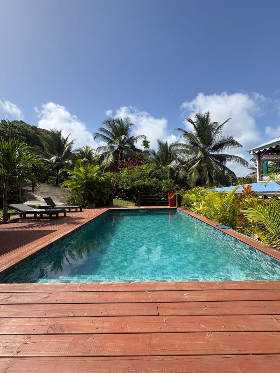 Natural landscape, Garden, Garden view, Pool view, Swimming pool, sunbed