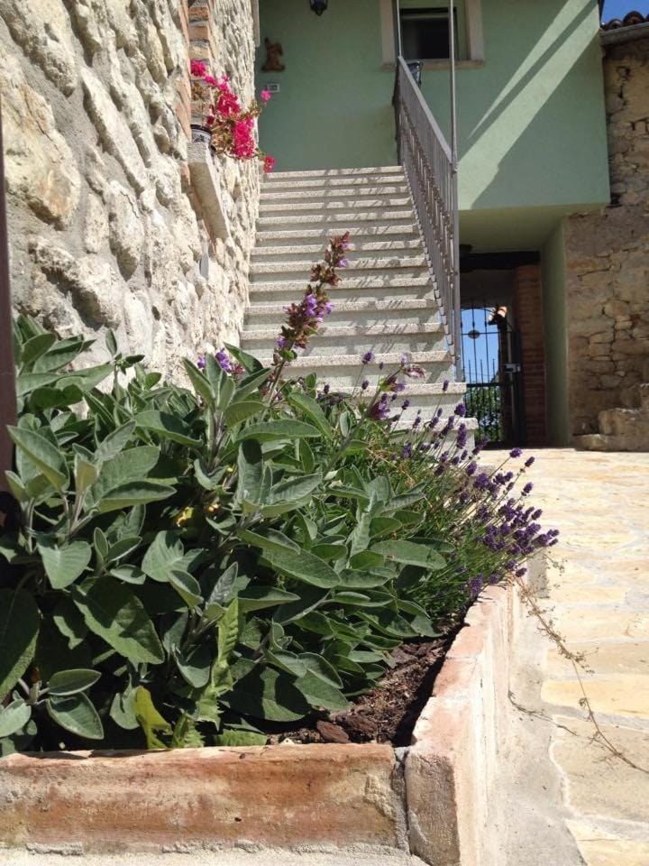 La Corte del Borgo Bed and Breakfast in Emilia-Romagna