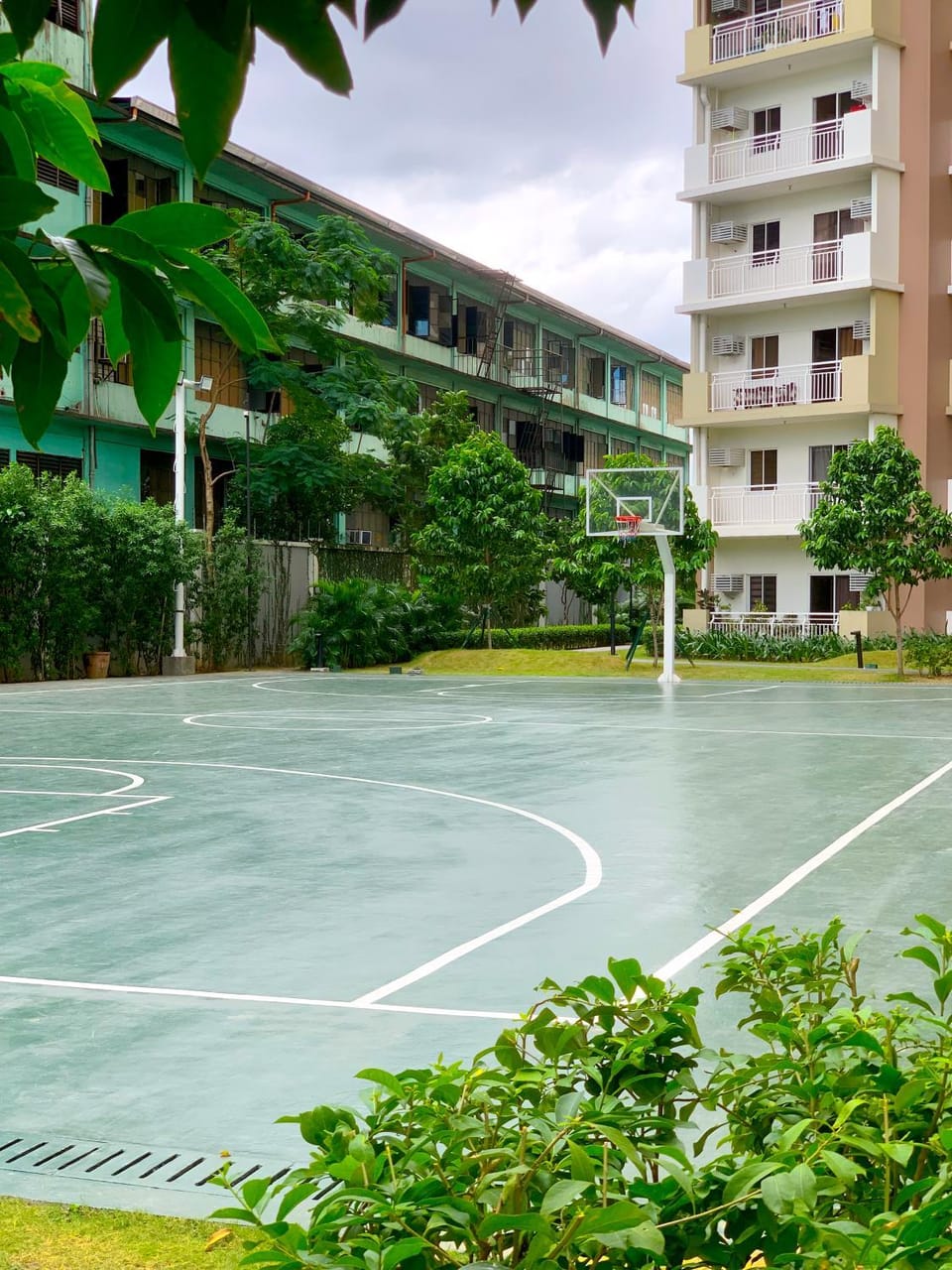 Sports