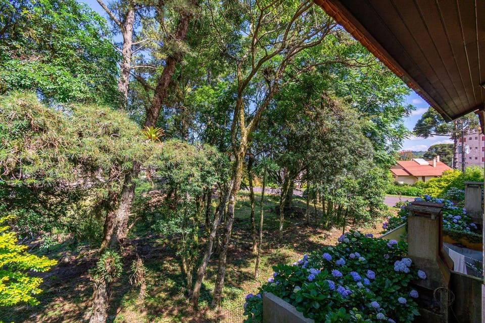 Natural landscape, Garden view