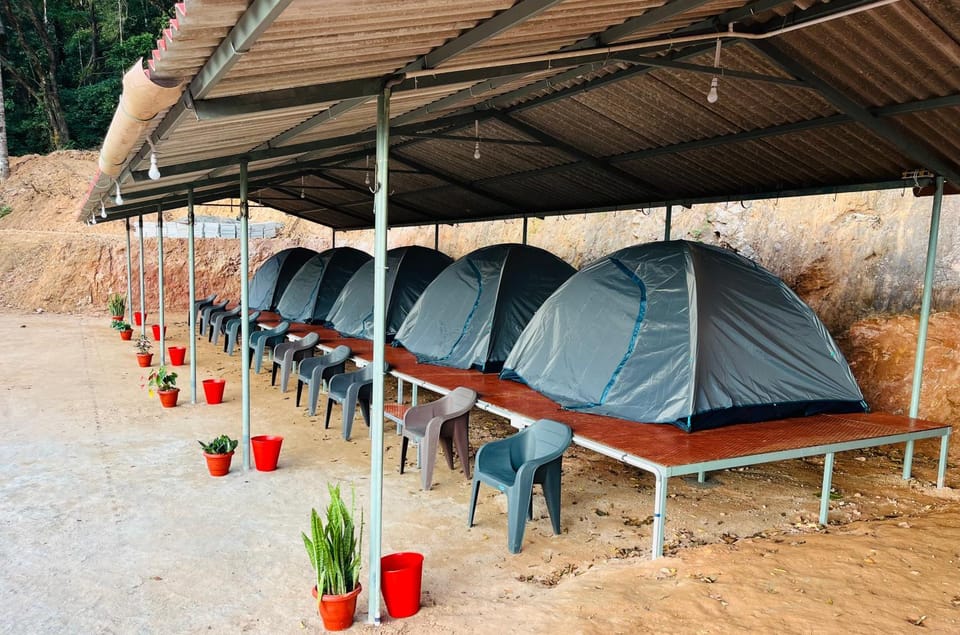 The nest bettathur Coorg, Campsite Campground/ 
RV Resort in Karnataka