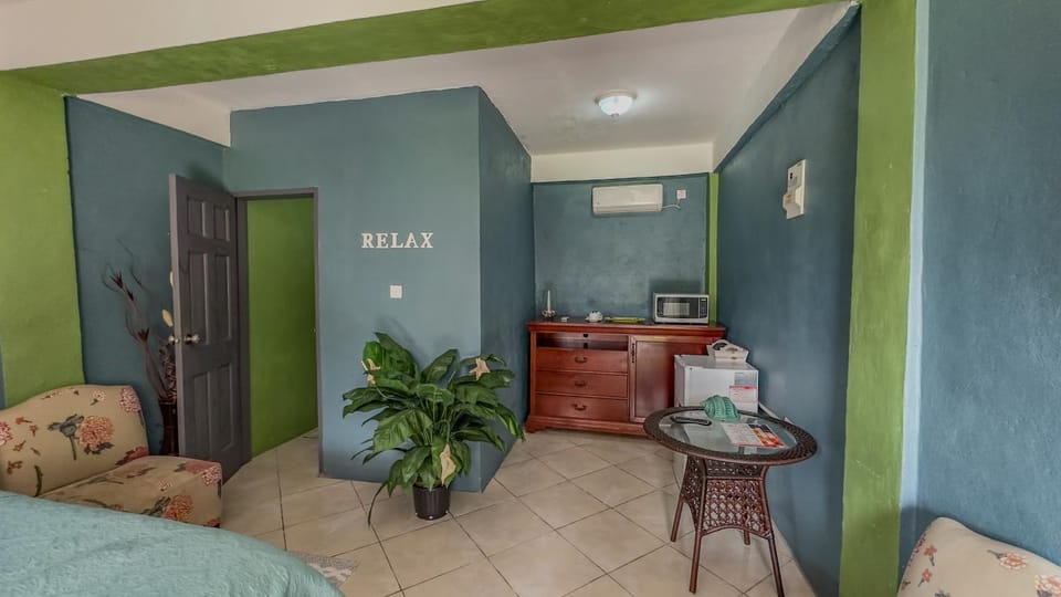 Lushes Lodge unit 3 Apartment in Caribbean