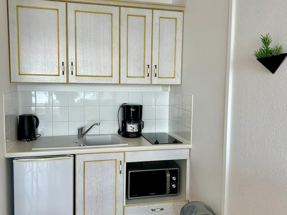 Studio confortable avec vue mer, animaux acceptés - FR-1-652-48 Apartment in Saint-Jean-de-Monts