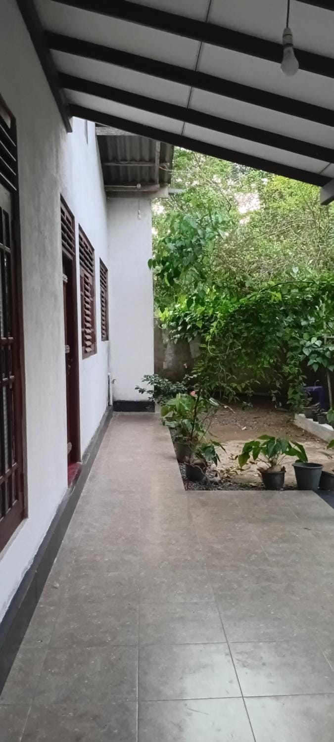 Garden, Garden, Garden view