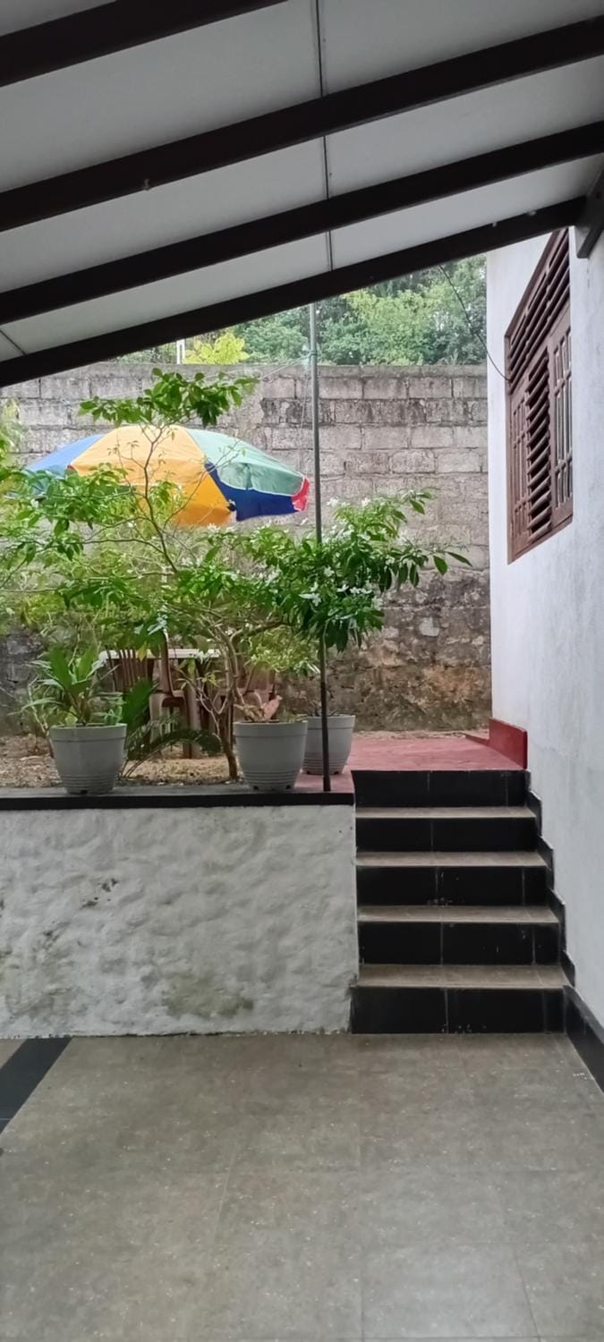 Property building, Garden, Balcony/Terrace
