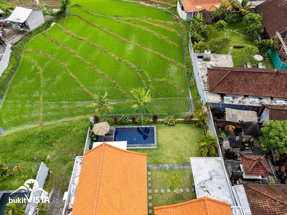 Property building, Bird's eye view, Swimming pool