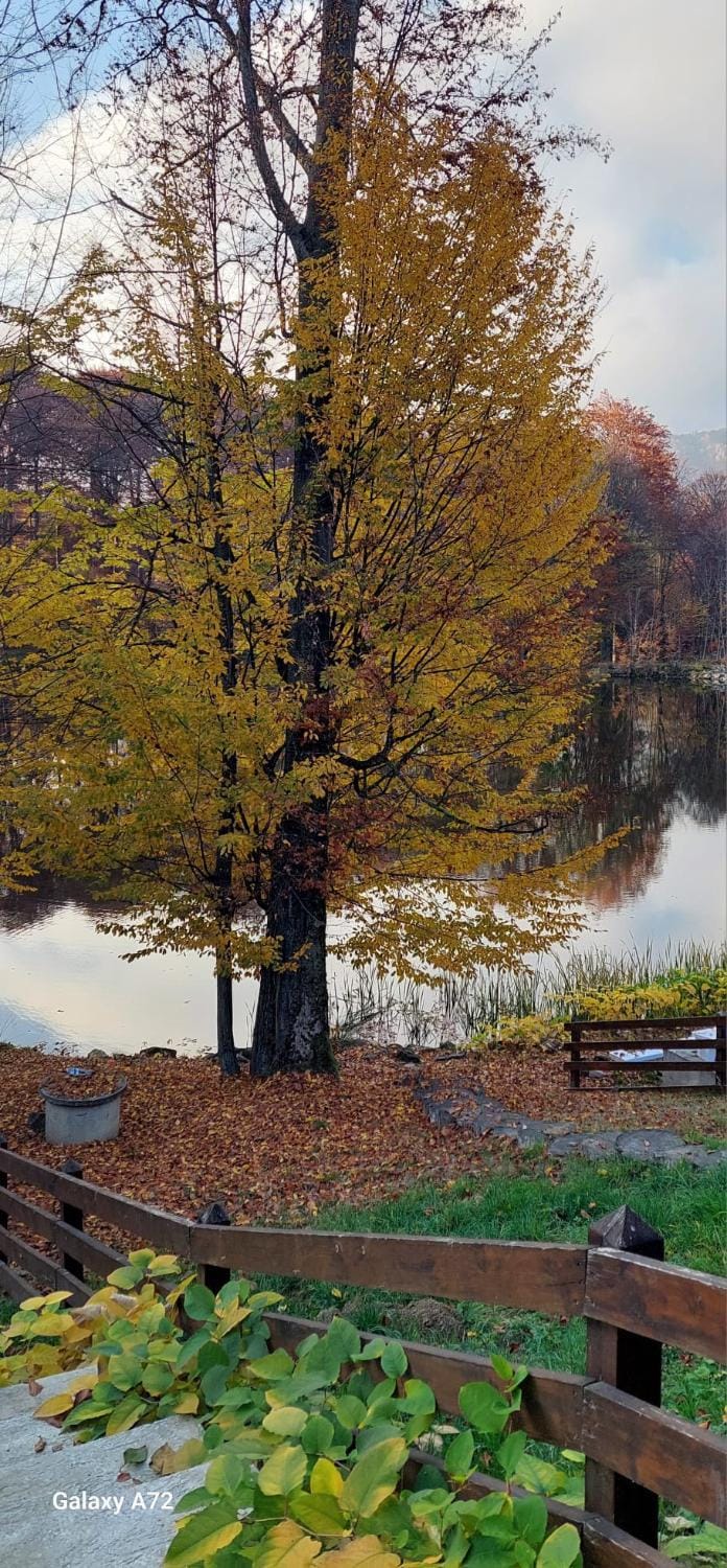 Natural landscape, Autumn, Lake view