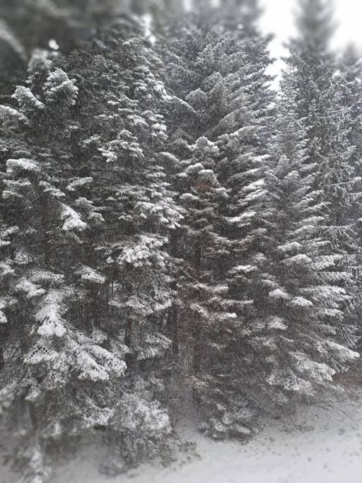 Natural landscape