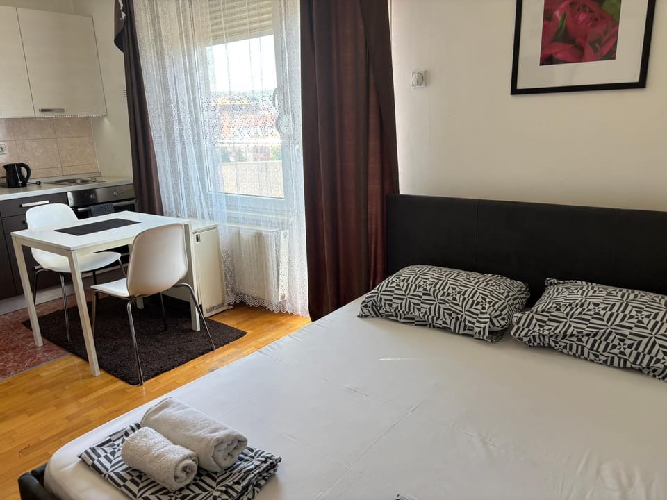 Heart of the city Apartment in Serbia