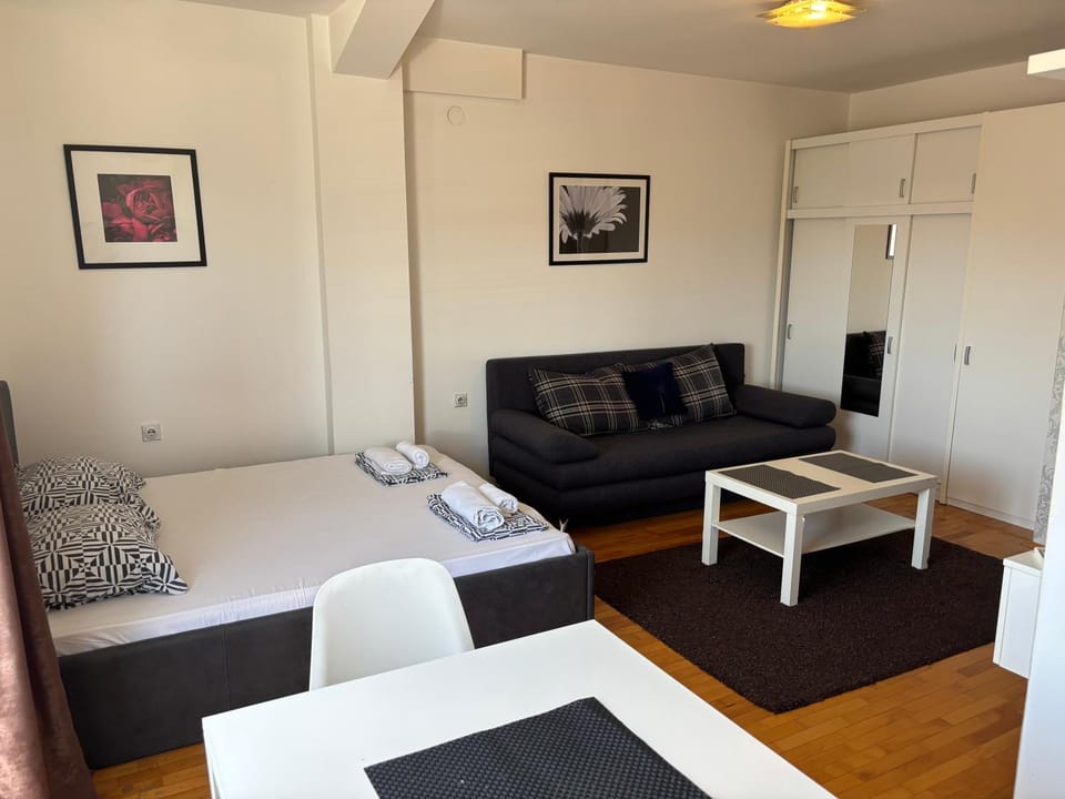 Heart of the city Apartment in Serbia