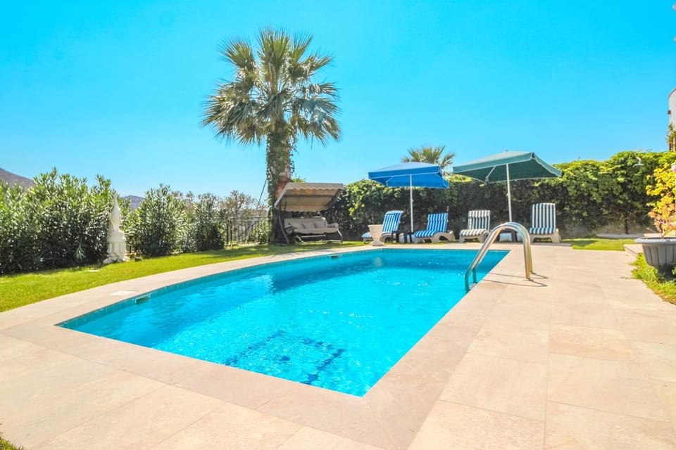 Day, Garden, Swimming pool, Swimming pool, sunbed