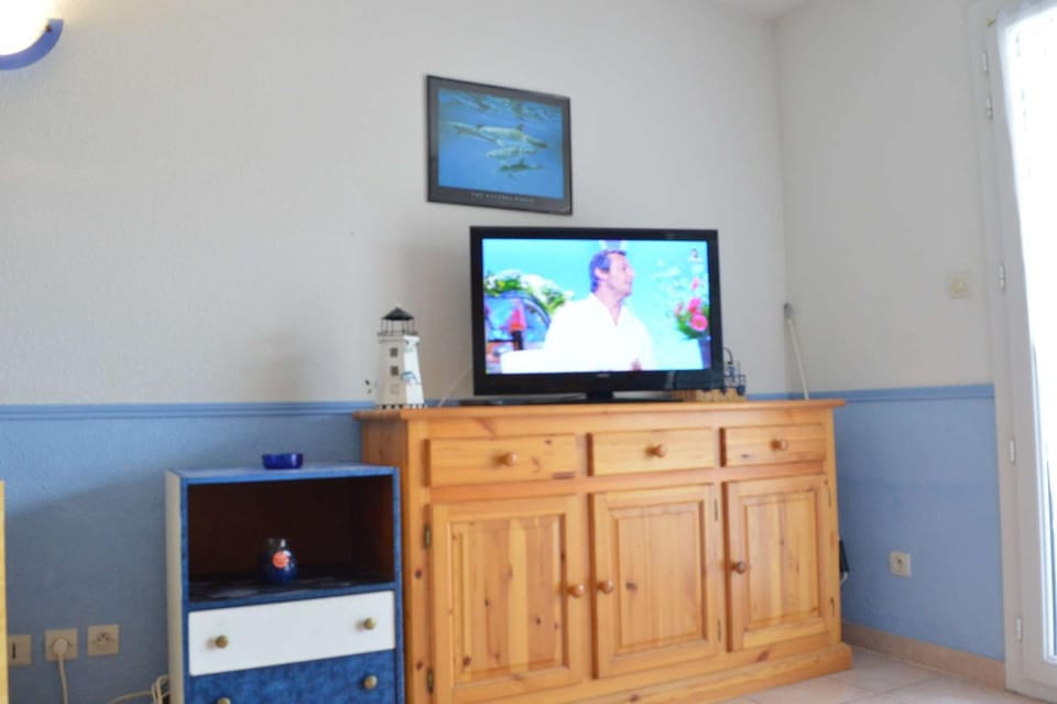 TV and multimedia