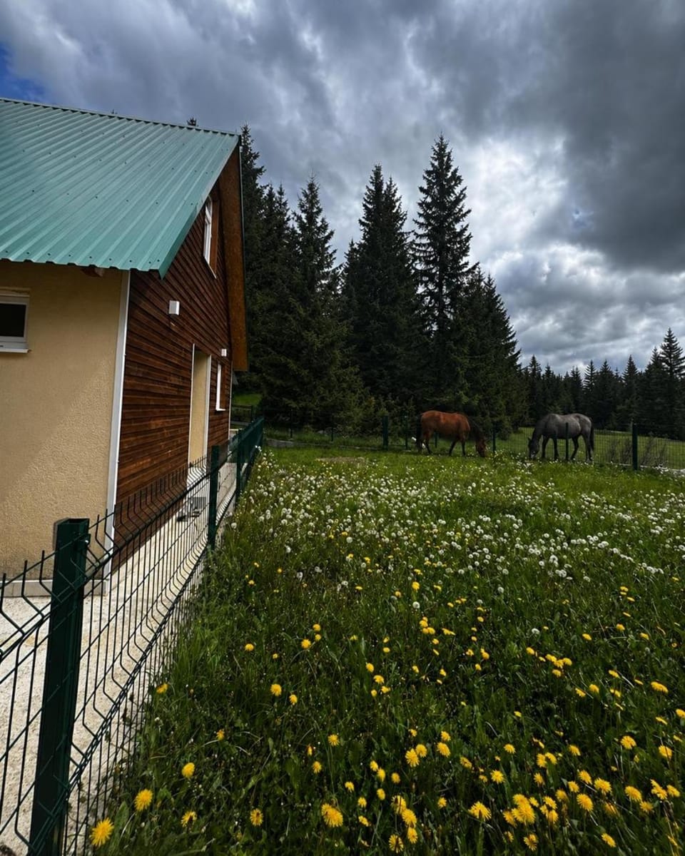 Zabljak Skiers House House in Montenegro