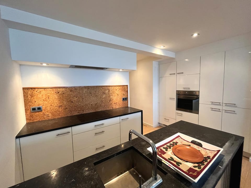 Kitchen or kitchenette, dishwasher