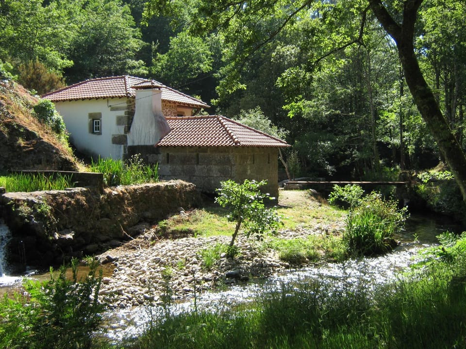 Natural landscape