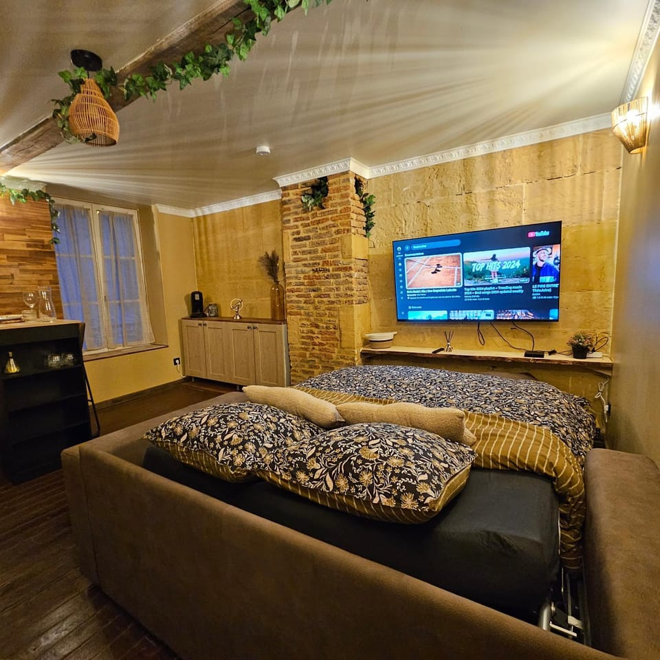 Studio Rustique en Cœur de Ville Apartment in Wallonia, Belgium