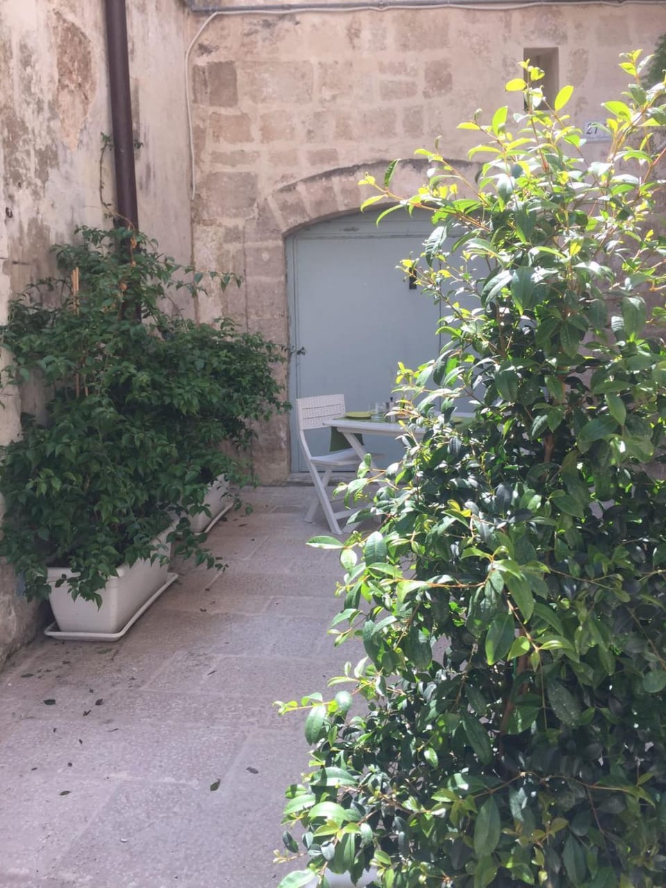 Garden view