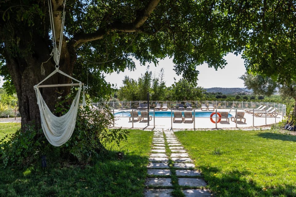 Garden, Garden view, Pool view, Swimming pool, sunbed