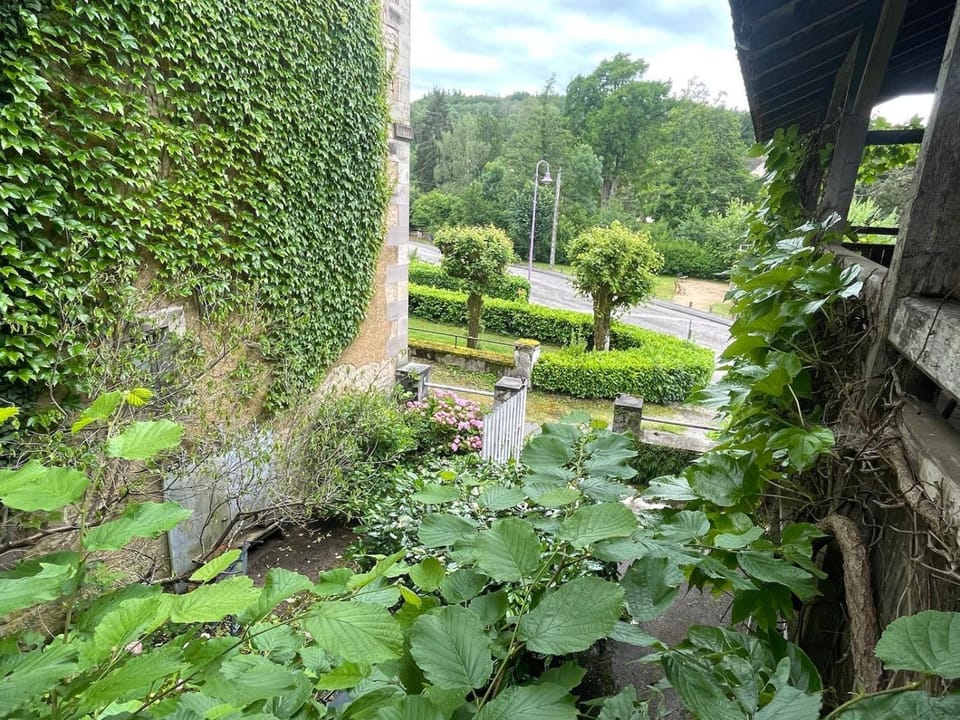 Murmure de la Forêt Bed and Breakfast in Vosges