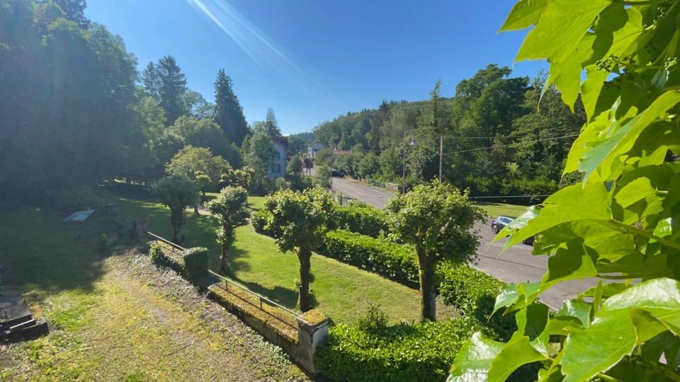 Murmure de la Forêt Bed and Breakfast in Vosges