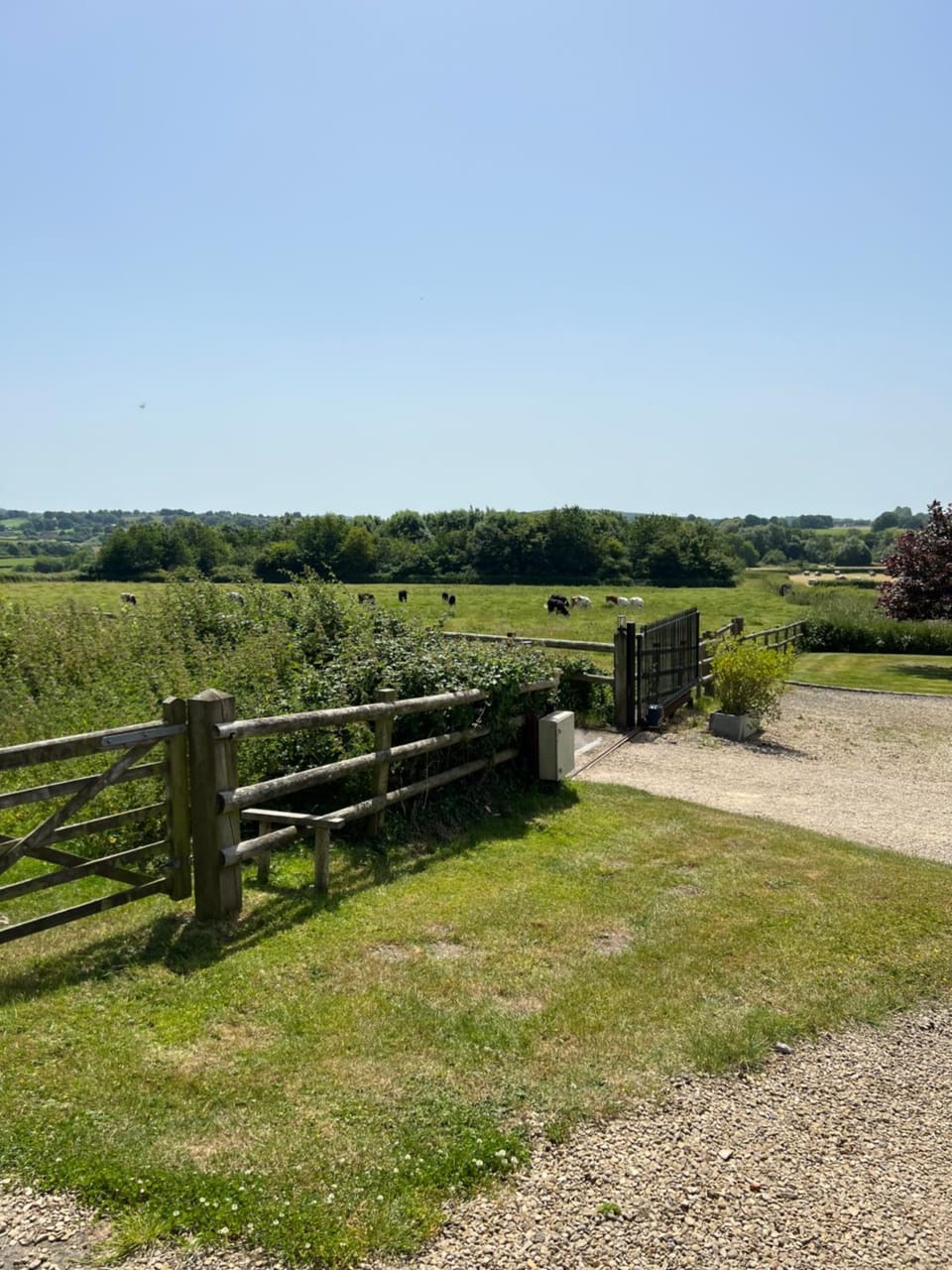 View (from property/room)