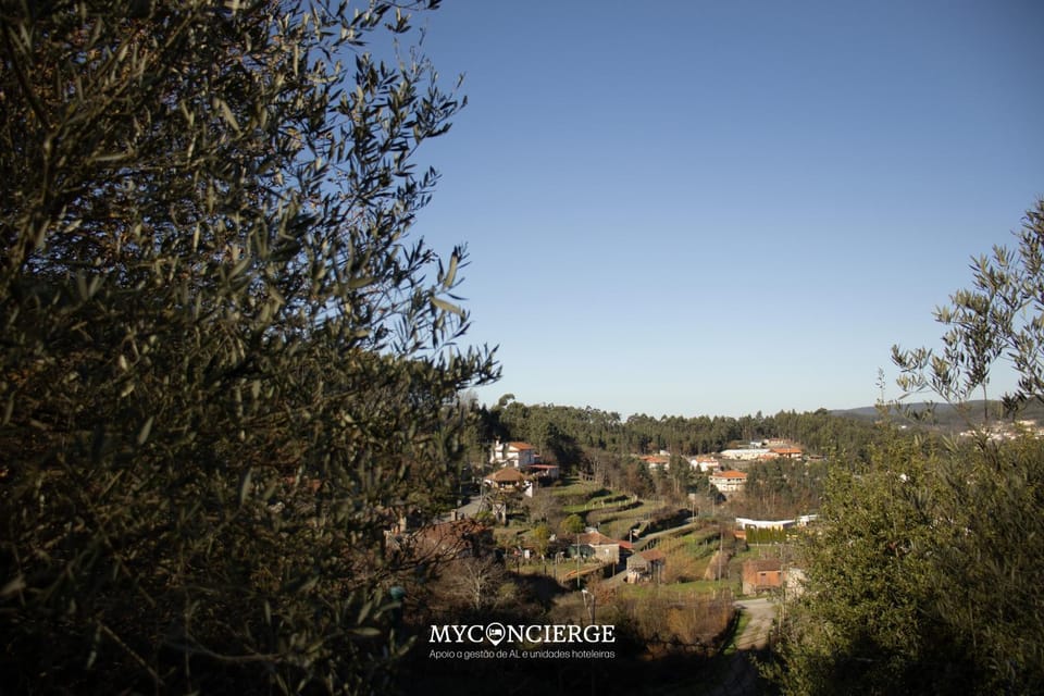 View (from property/room)