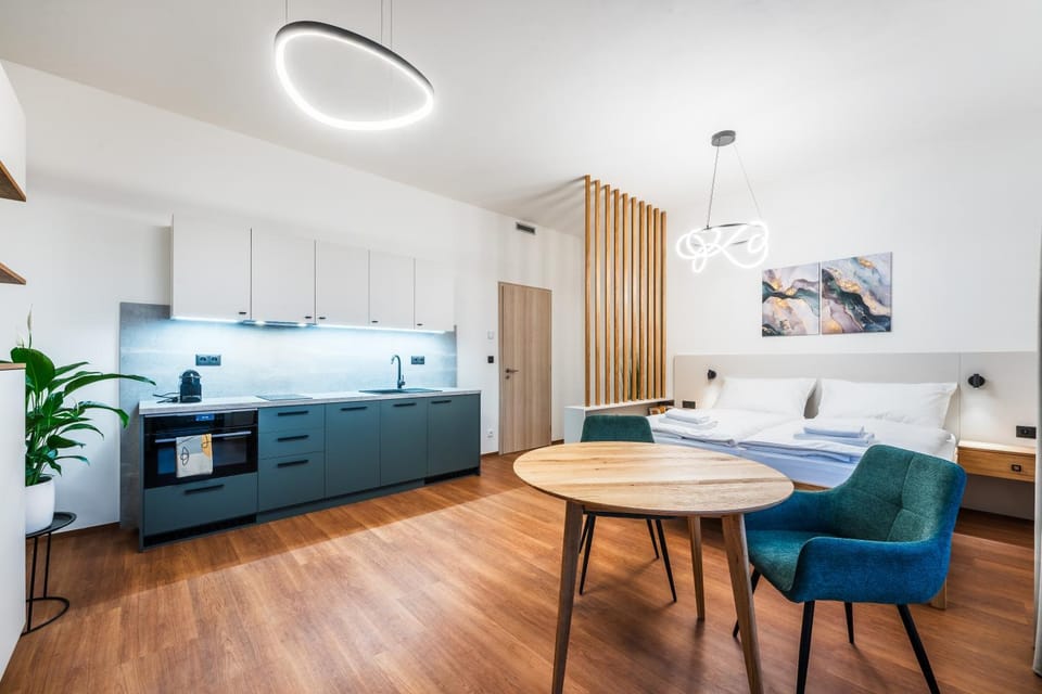 Bed, Kitchen or kitchenette, Photo of the whole room, Seating area, Bedroom, oven, stove