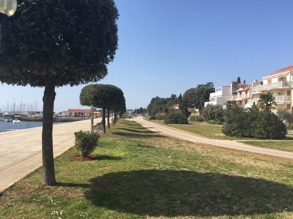 Sea view, Area and facilities