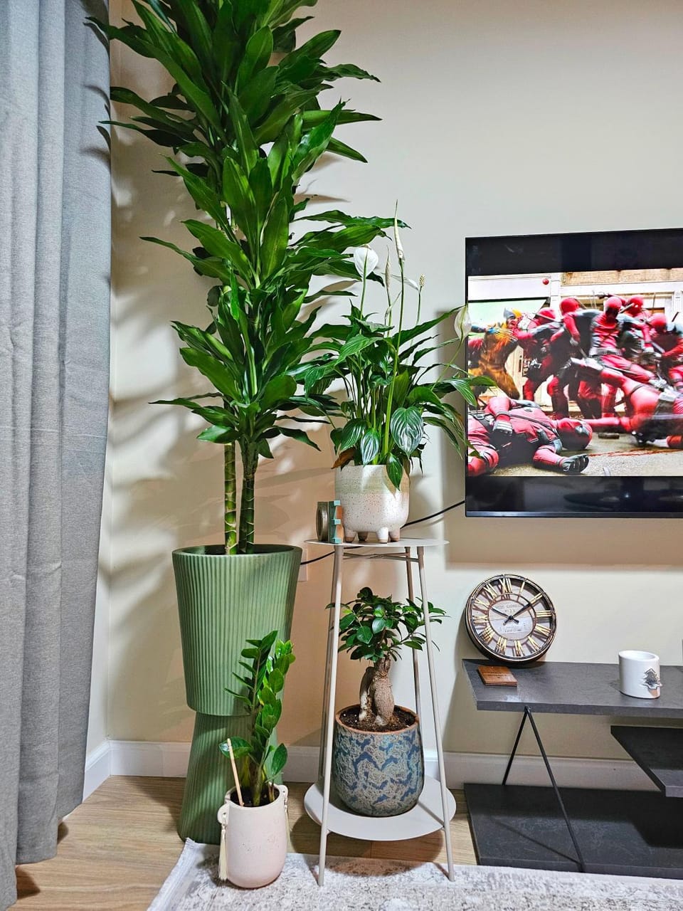TV and multimedia