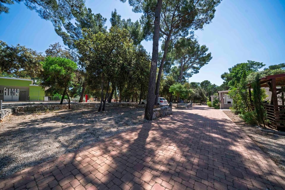 Neighbourhood, Natural landscape