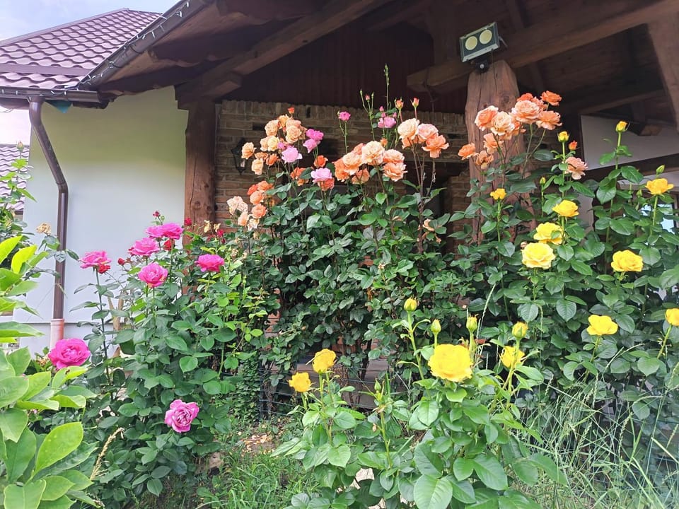 Rustic Dreams-Dobolii de Sus House in Brașov County