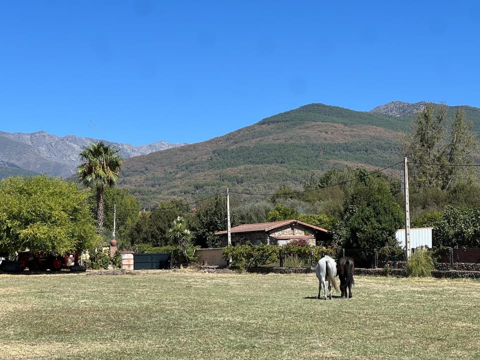 Mountain view