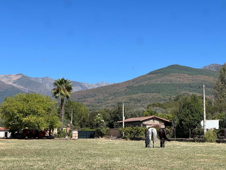 Mountain view
