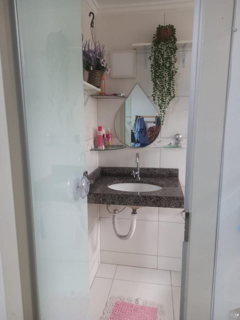 Loft Família Silva Apartment in State of Goiás