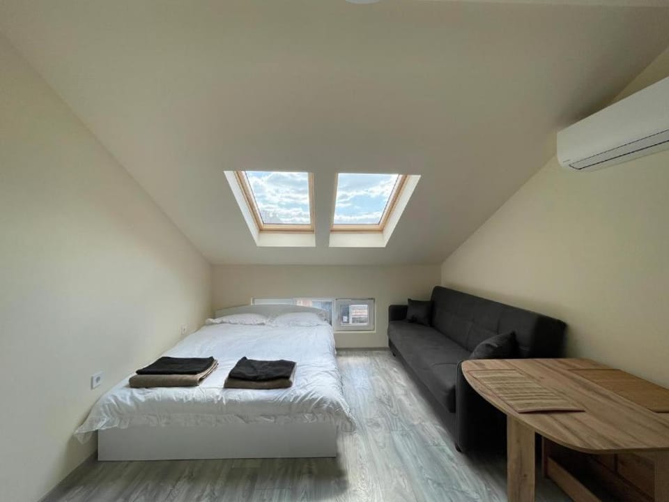 Bed, TV and multimedia, Living room, Photo of the whole room, Seating area, Bedroom, towels, air conditioner