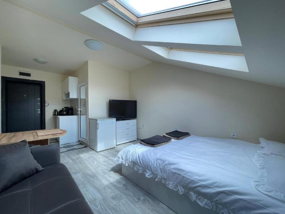Bed, TV and multimedia, Kitchen or kitchenette, Living room, Photo of the whole room, Seating area, Evening entertainment, Bedroom