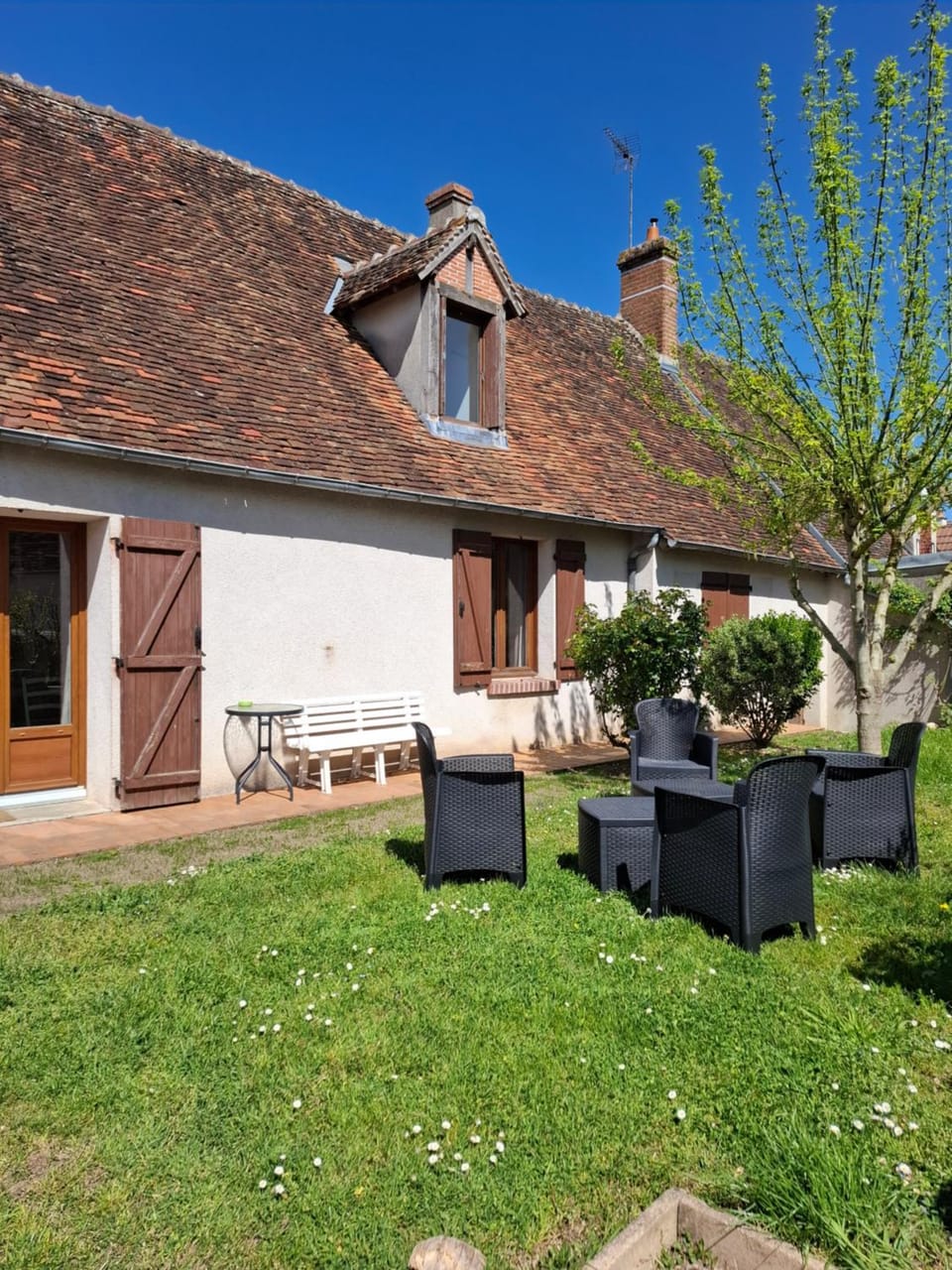 Patio, Spring, Garden, Garden view