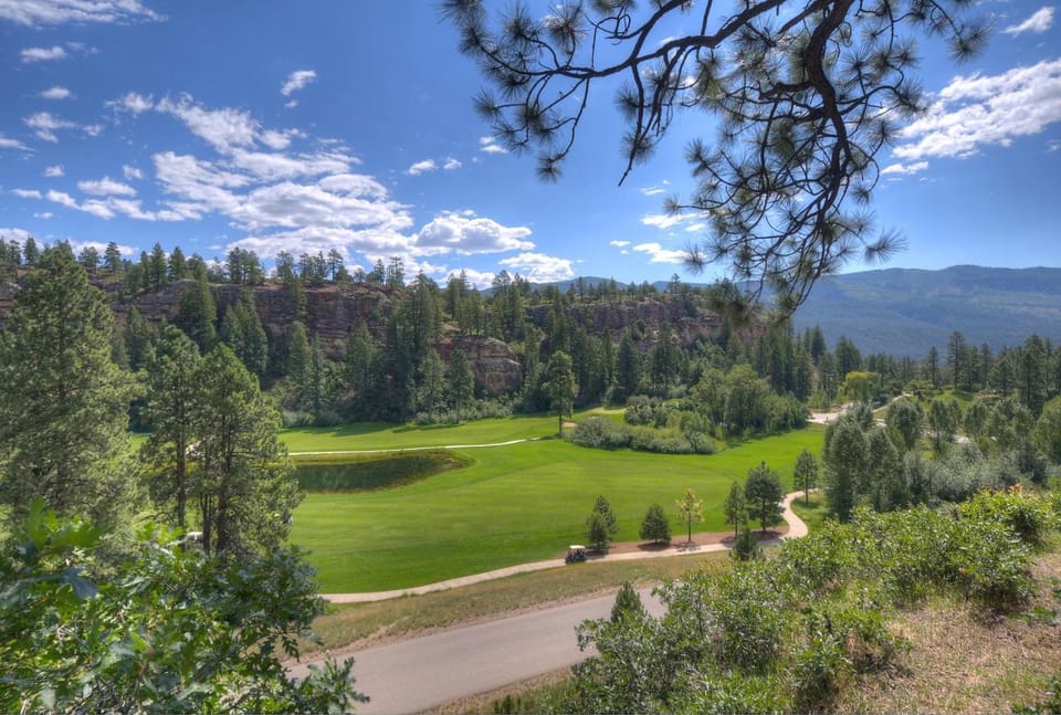 Tamarron Lodge Suite 417 - Down Home in Durango CO House in La Plata County