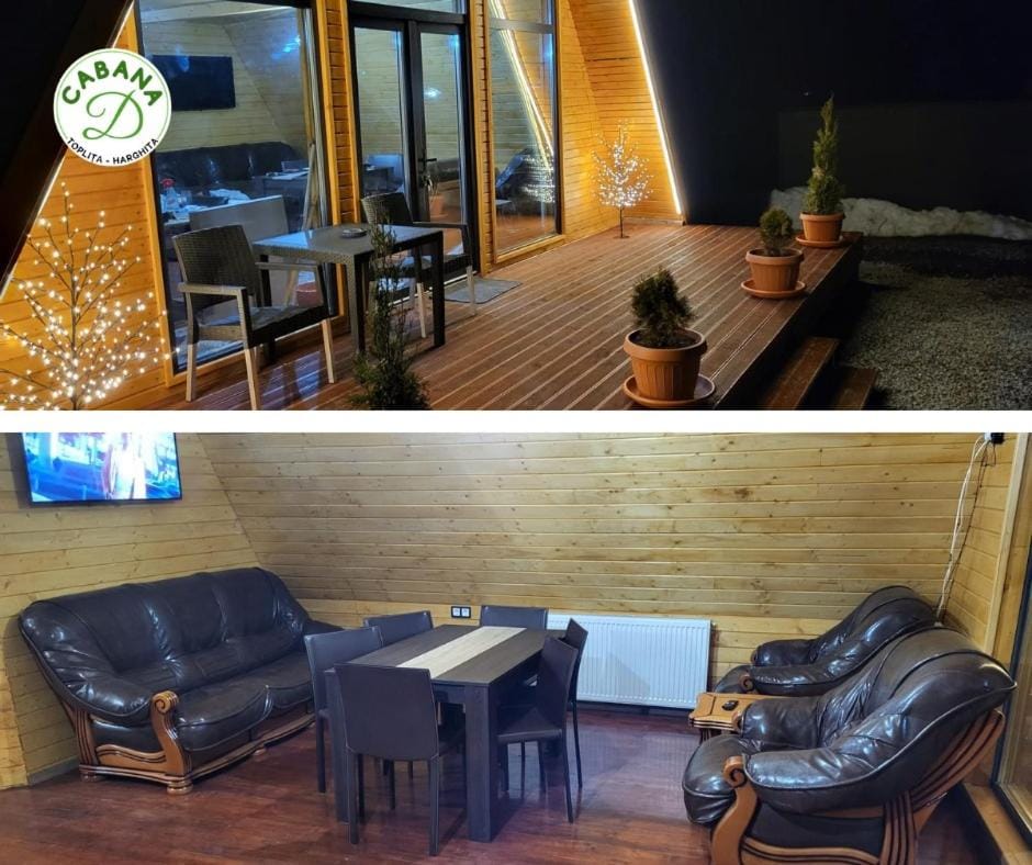 Cabana D House in Romania