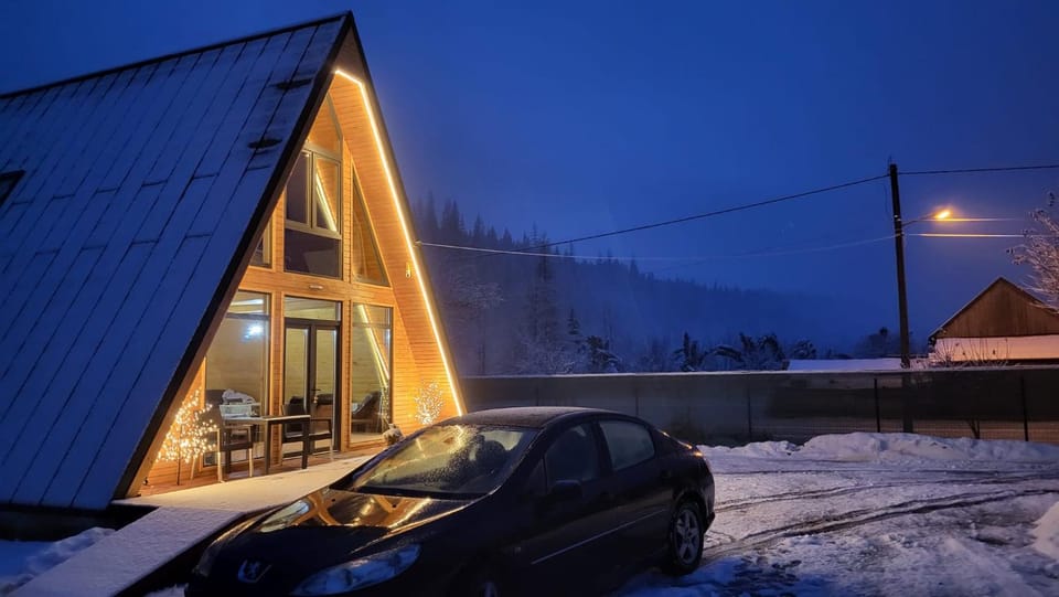 Cabana D House in Romania