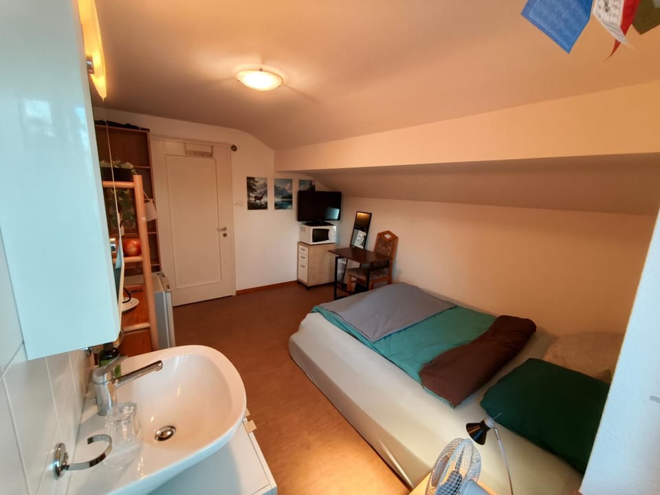 TV and multimedia, Living room, Photo of the whole room, Seating area, Bedroom