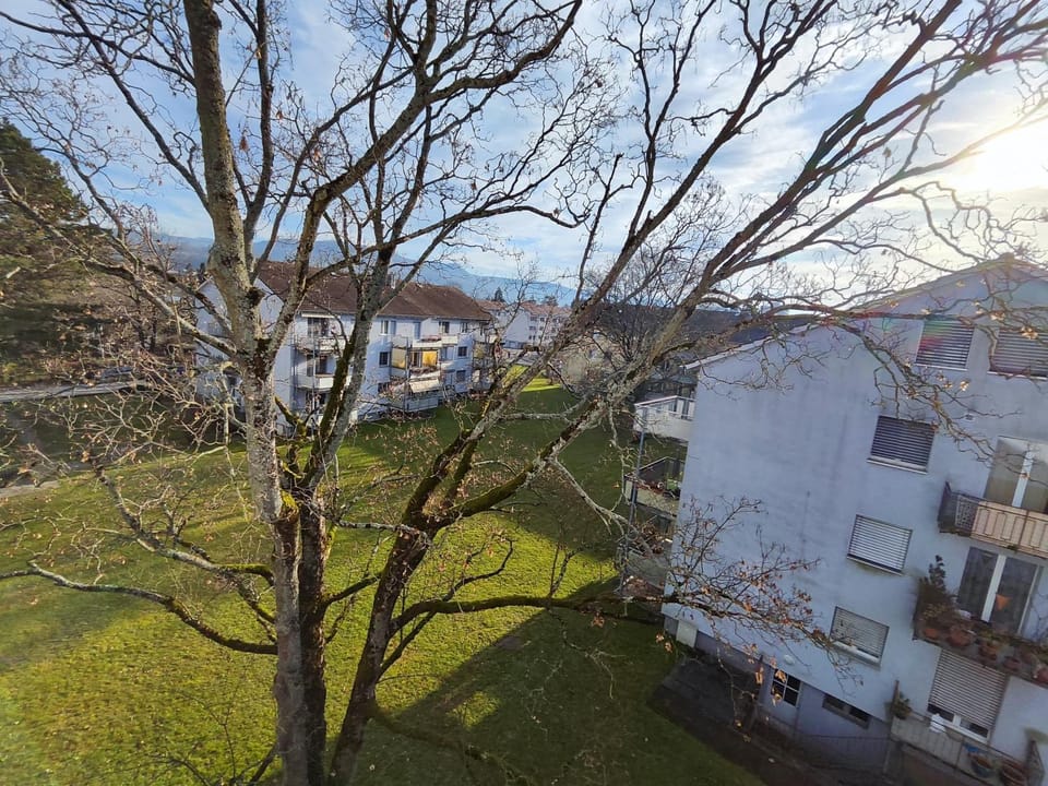 View (from property/room), Garden view, Landmark view, Mountain view, Inner courtyard view
